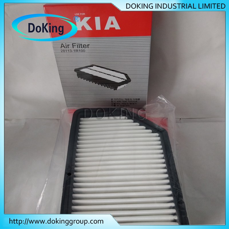 air filter 28113-1R100FOR kIA